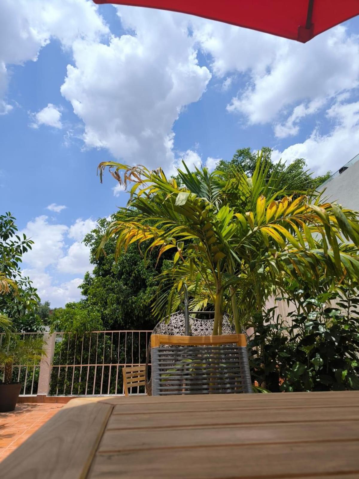 Casa Frida Condesa Bed and Breakfast Mexico By Eksteriør billede
